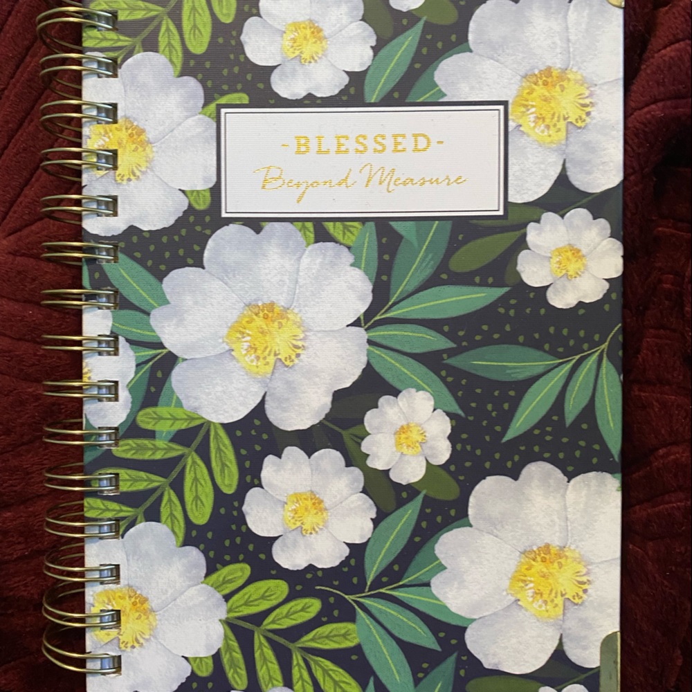 umi lined notebook , gold metal corner protectors